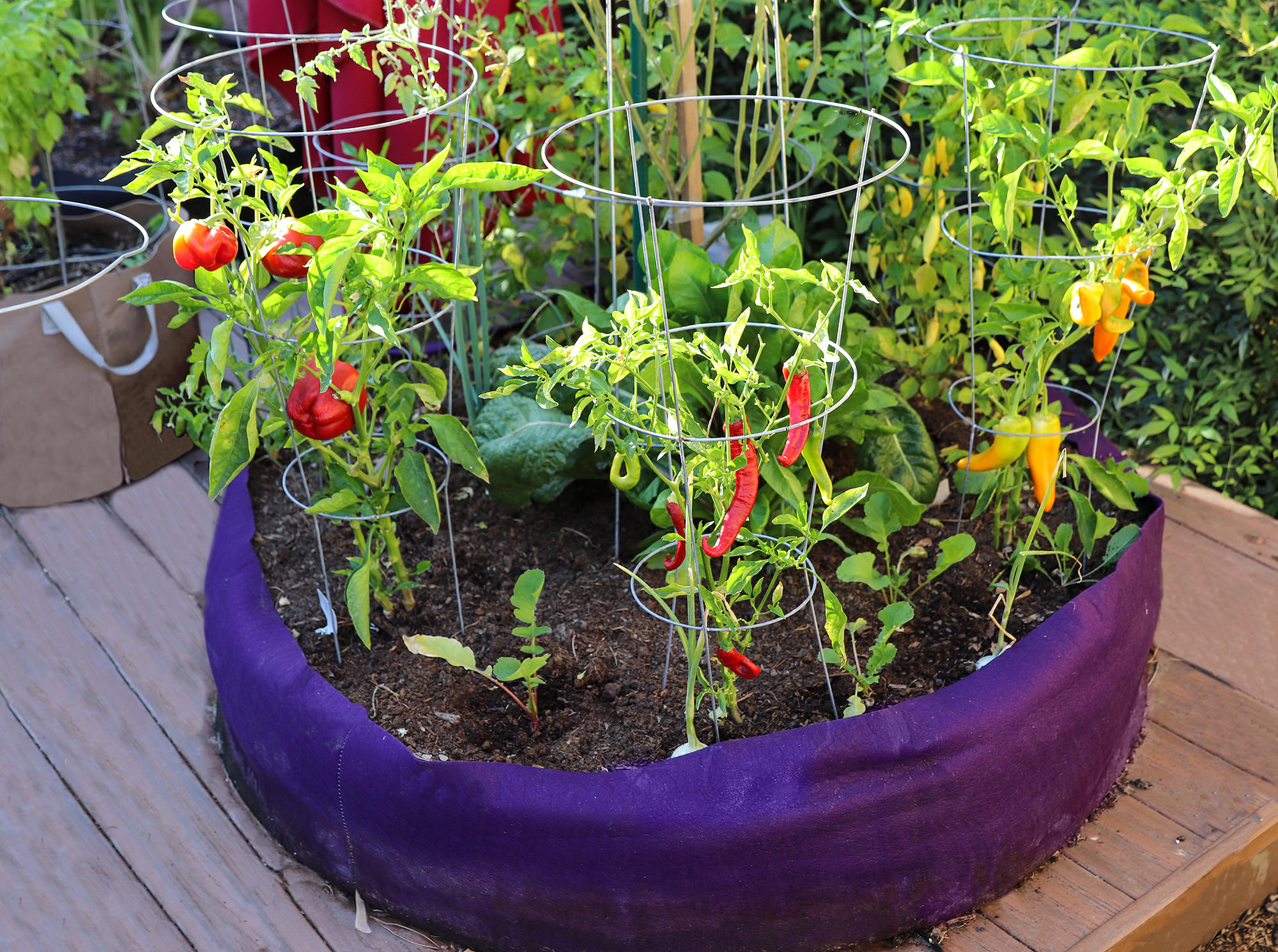 The Evolution of the Box Cutter: From Utility to Security