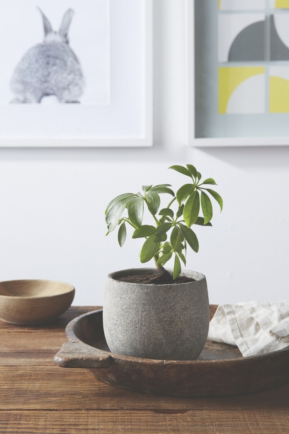 Safety First: How to Safely Enjoy the Convenience of a Portable Blender