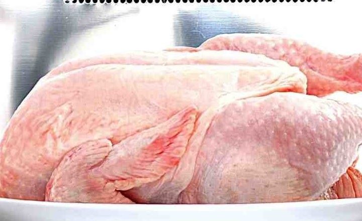 Transform Your Garden: Creative Ideas for Painting Plastic Flower Pots