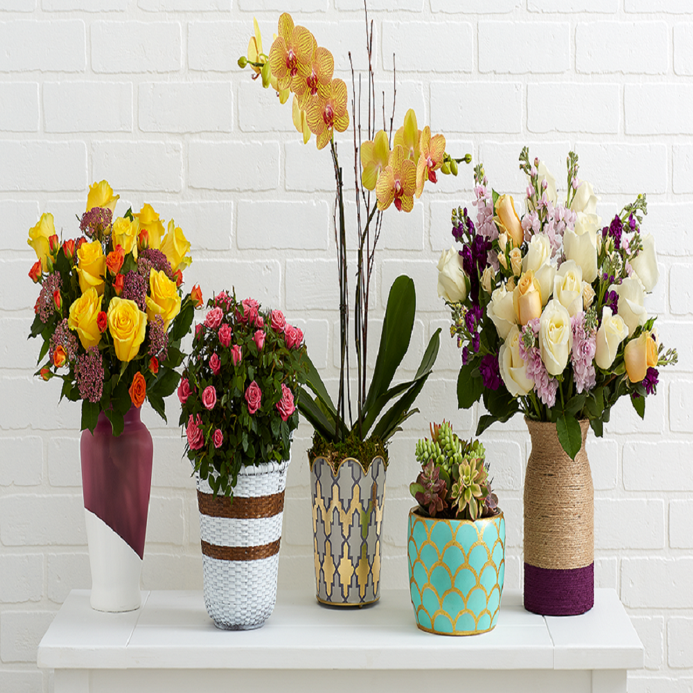 The Sustainable Shift: Exploring Eco-Friendly Glassware Sets for a Greener Lifestyle