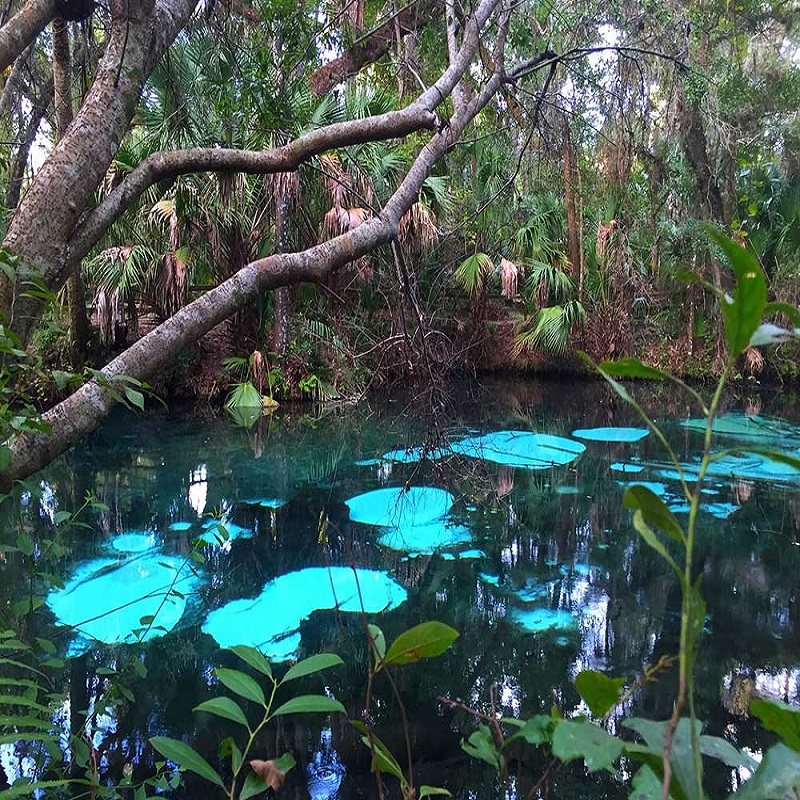 Home Tools: Choosing the Right Snow Shovel for Heavy Loads