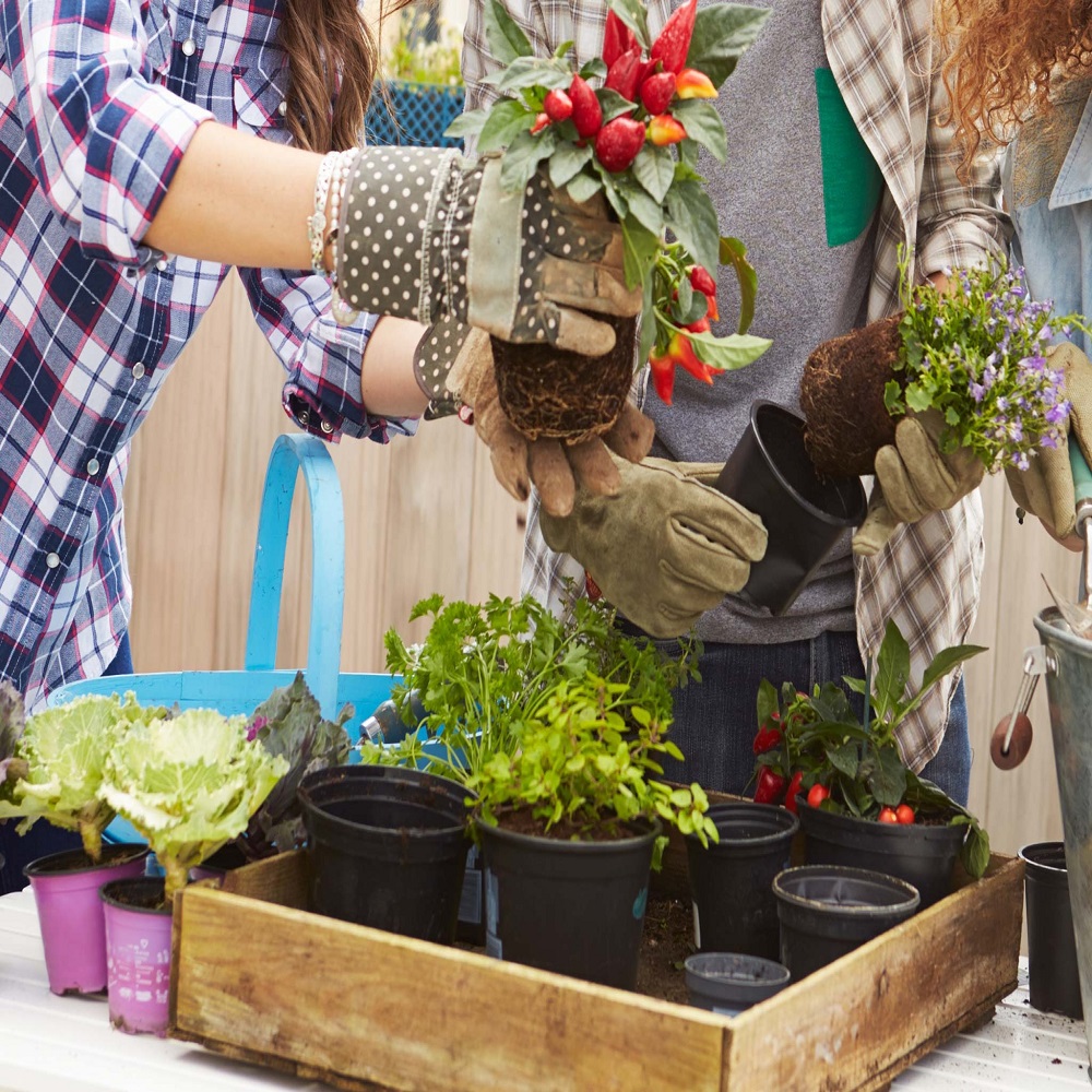 DIY Concrete Flower Pots: Create Your Own Chic and Planters